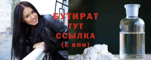 гидра Краснослободск