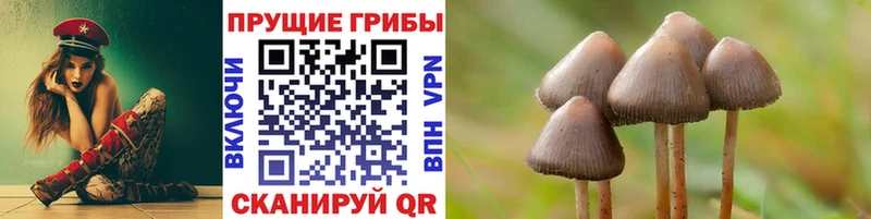 Псилоцибиновые грибы Psilocybe  Михайловка 